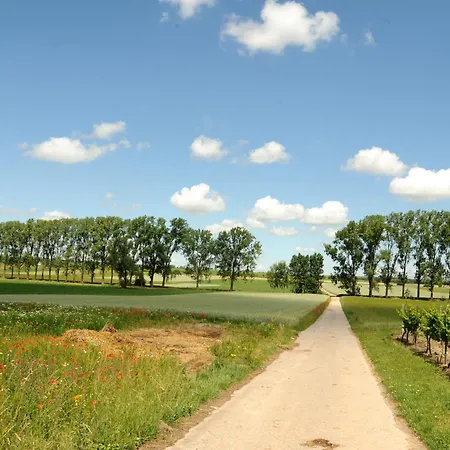 Winzerhotel Kinges-kessel 3* Morstadt