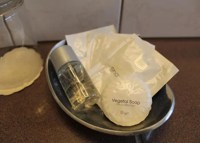 Winzerhotel Kinges-kessel 3* Mörstadt