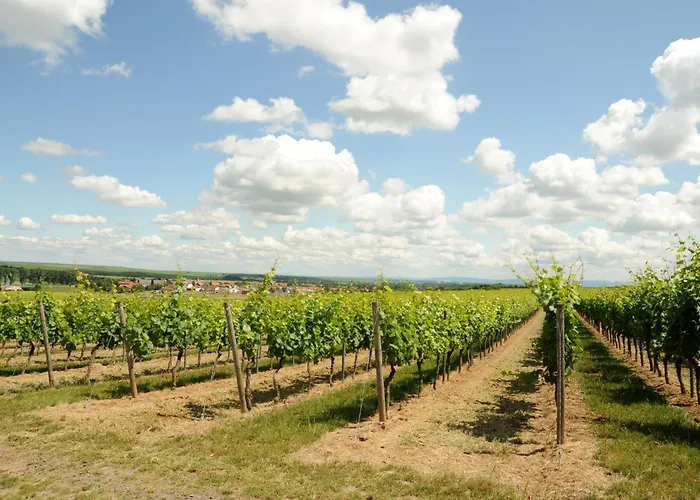 Winzerhotel Kinges-kessel ホテル Mörstadt